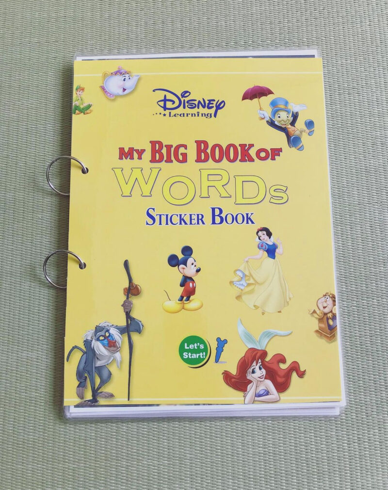 My big book of words sticker book